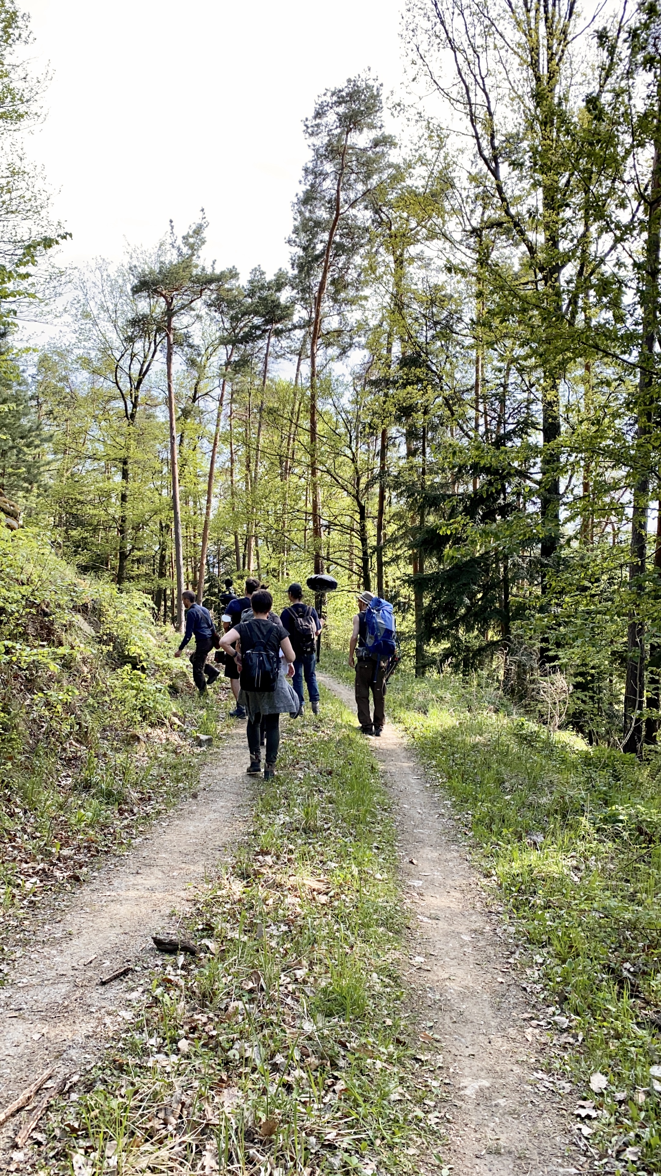 Dreh im Weitenbachtal für die virtuelle Waldführung