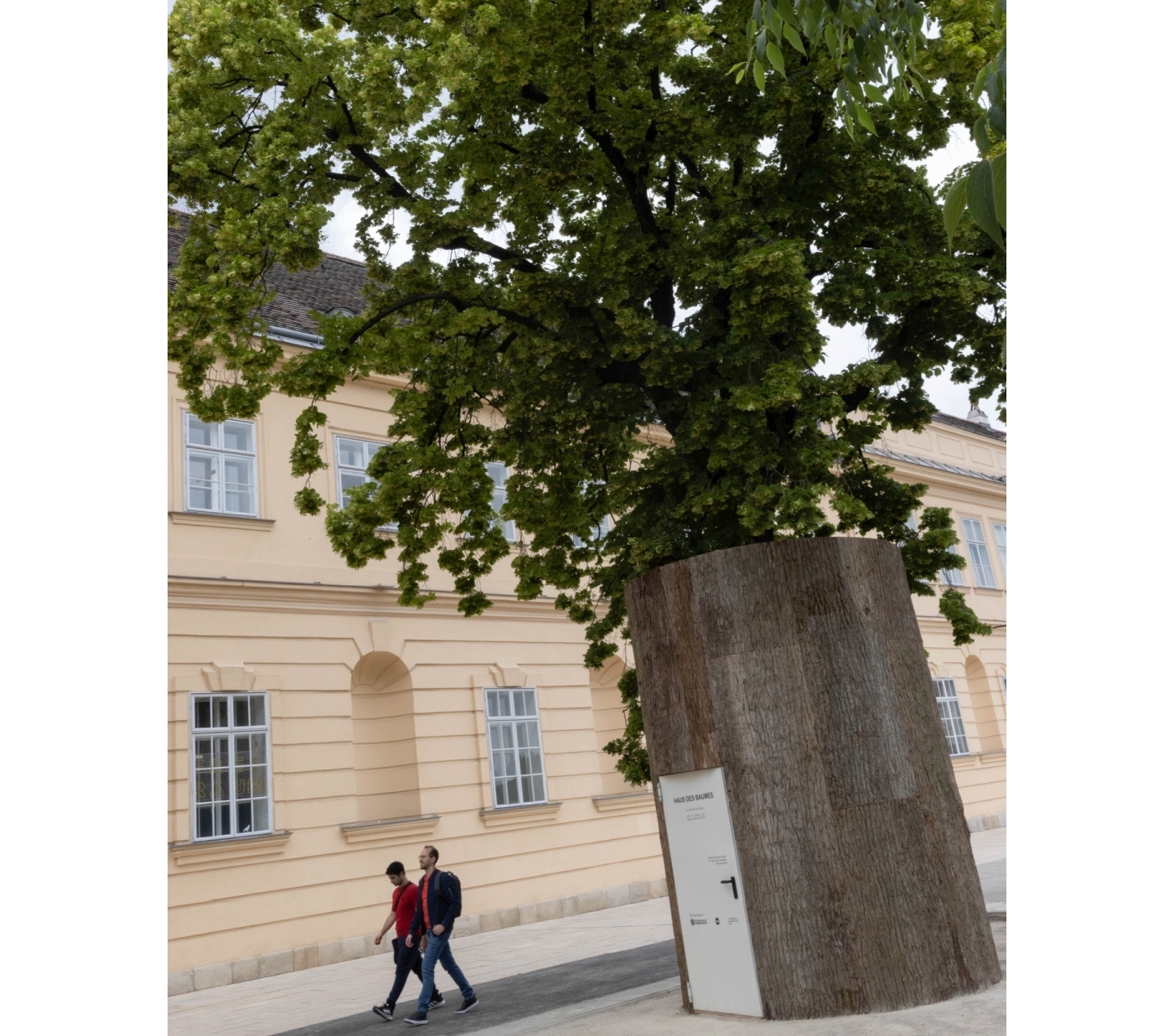 „Haus des Baumes“ vor dem MuseumsQuartier in Wien_c_eSeL.at – Lorenz Seidler
