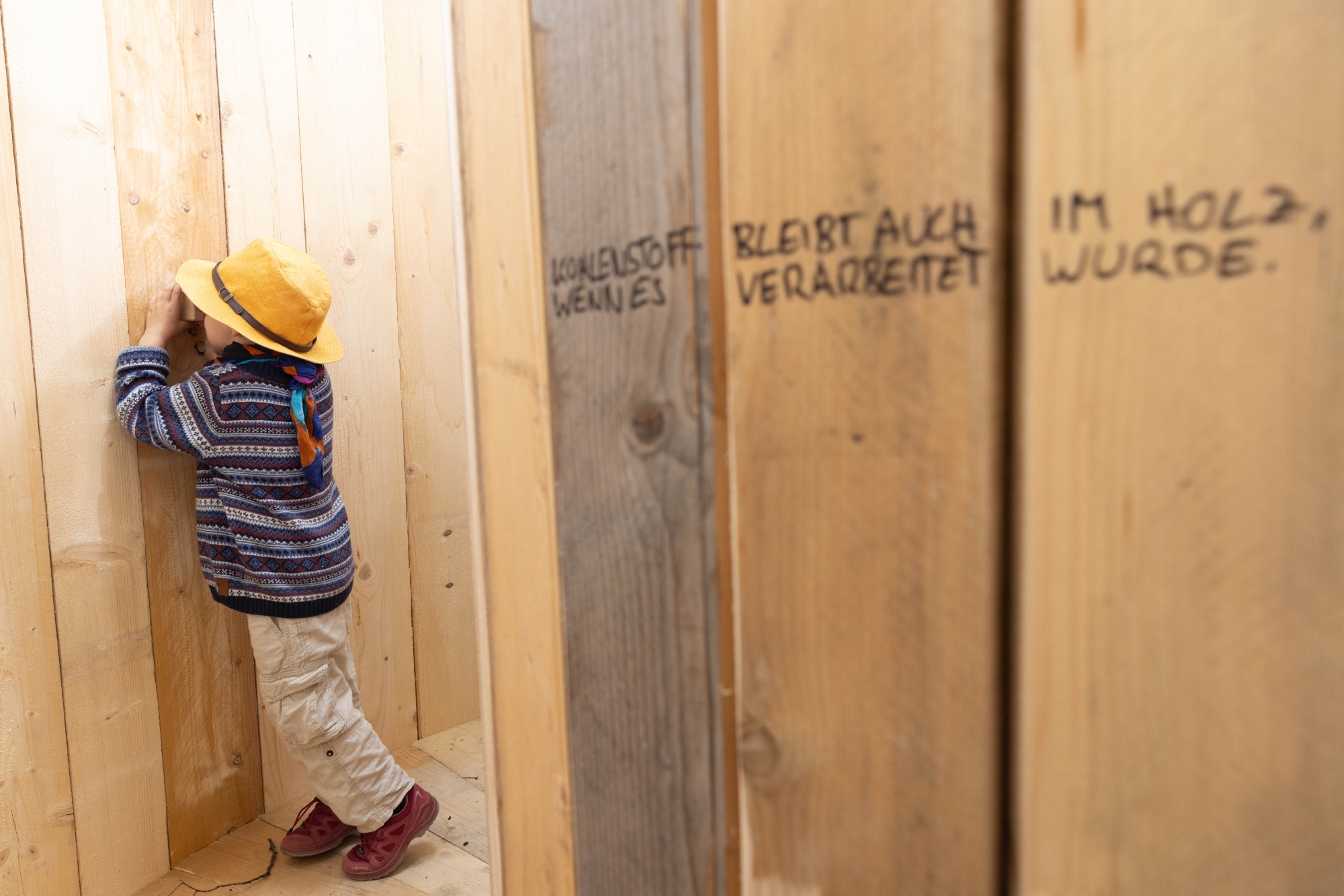 Blick aus dem „Haus des Baumes“ vor dem MuseumsQuartier in Wien_eSeL.at – Lorenz Seidler