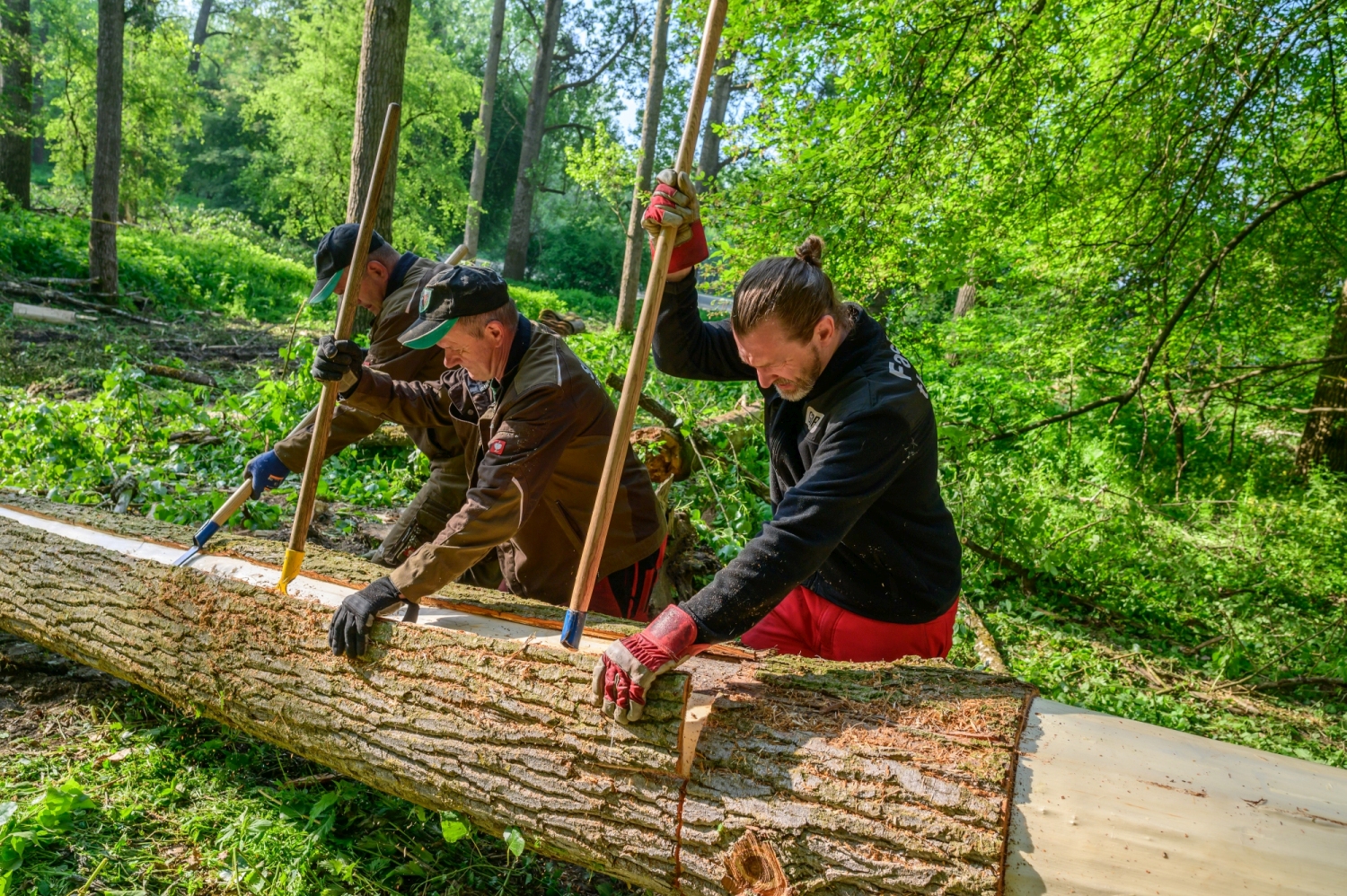 Entrindung einer Pappel für die Außenpaneele des Haus des Baumes_c_ÖBf-Archiv_W. Simlinger