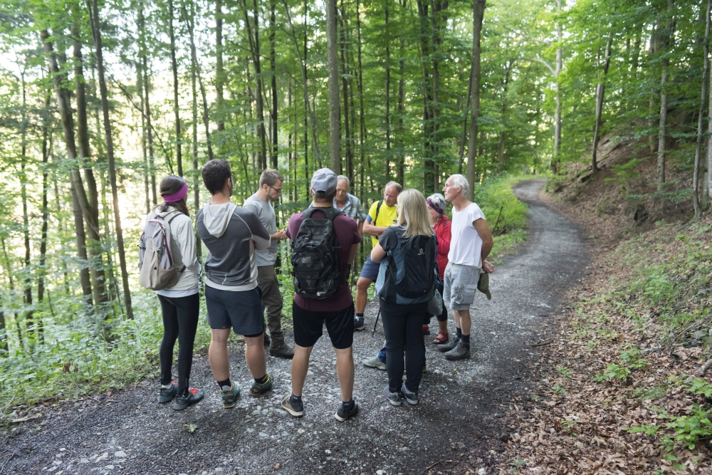 Wald der Zukunft Führung in Bischofshofen (c) ÖBf/W. Lienbacher