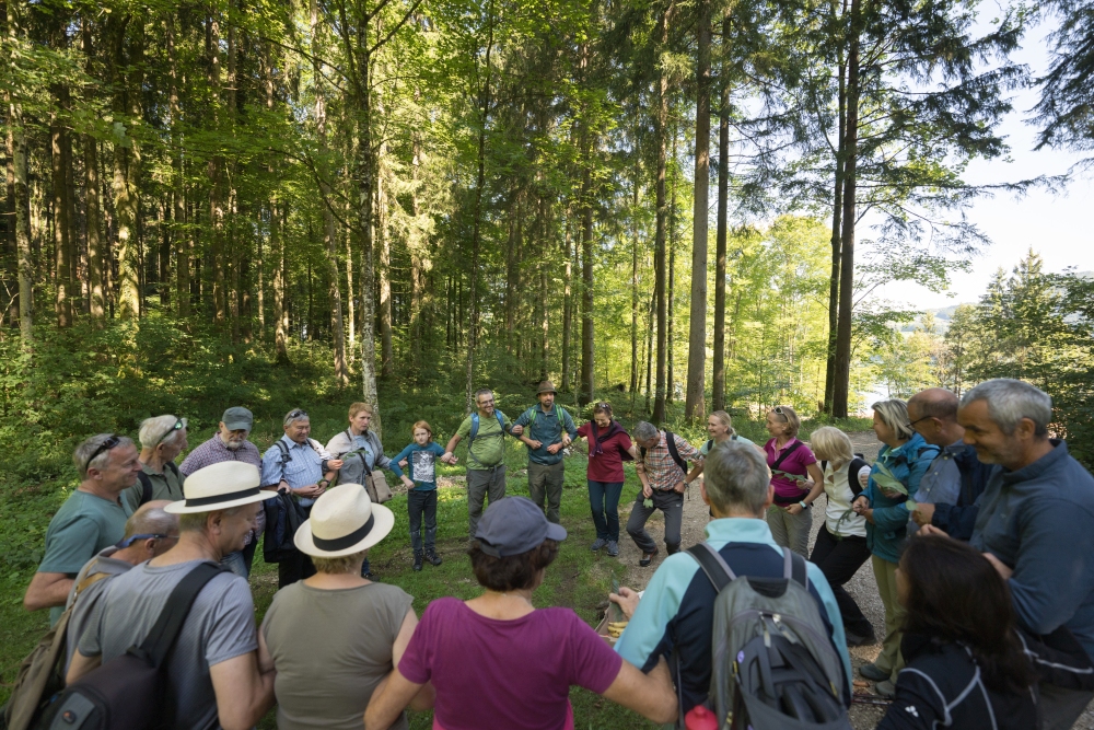 Wald der Zukunft Führung in St. Lorenz (c) ÖBf/W. Lienbacher