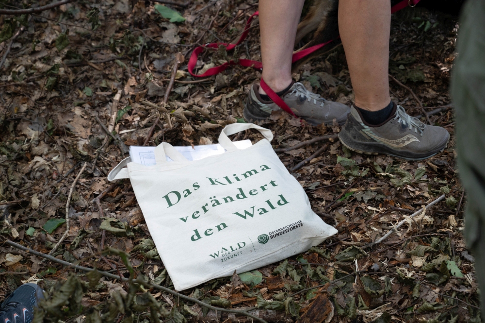 Wald der Zukunft Führung in Klosterneuburg (c) ÖBf/F. Helmrich