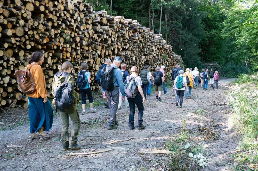 Wald der Zukunft Führung in Klosterneuburg (c) ÖBf/F. Helmrich