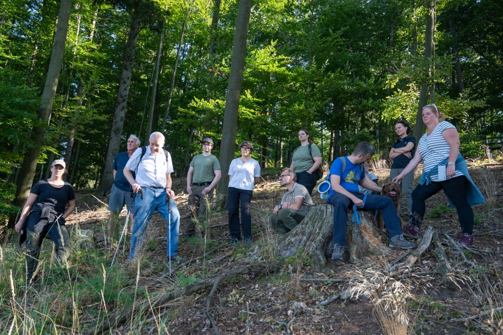 Wald der Zukunft Führung in Mitterarnsdorf (c) ÖBf/F. Helmrich