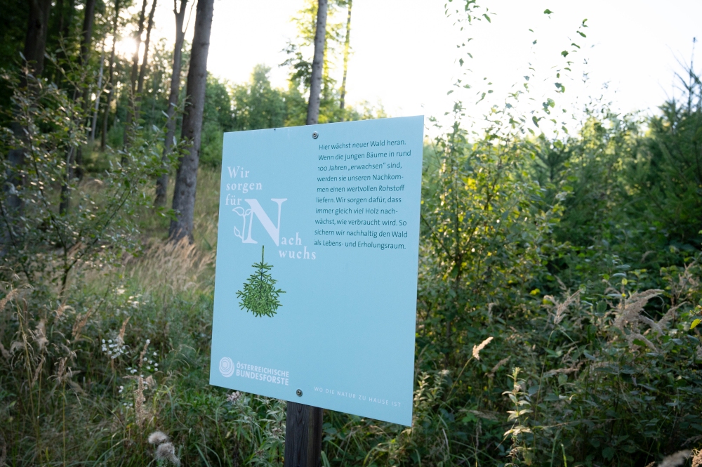 Wald der Zukunft Führung in Mitterarnsdorf (c) ÖBf/F. Helmrich