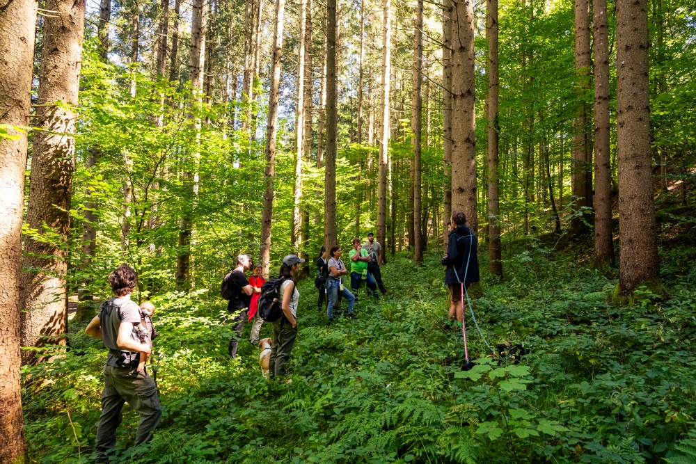 Wald der Zukunft Führung in Villach (c) ÖBf/M. Stabentheiner