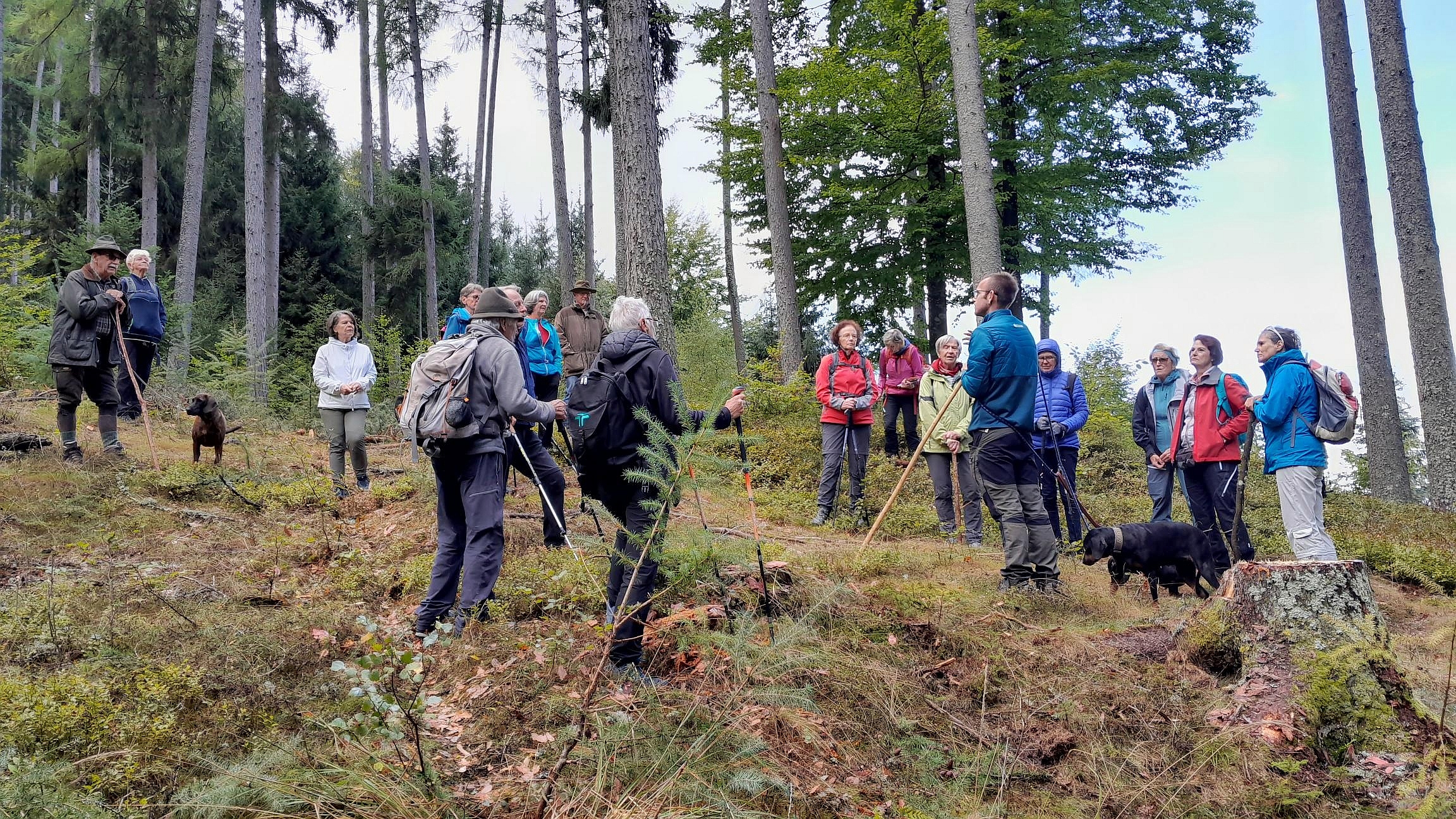 Wald der Zukunft Führung 2026