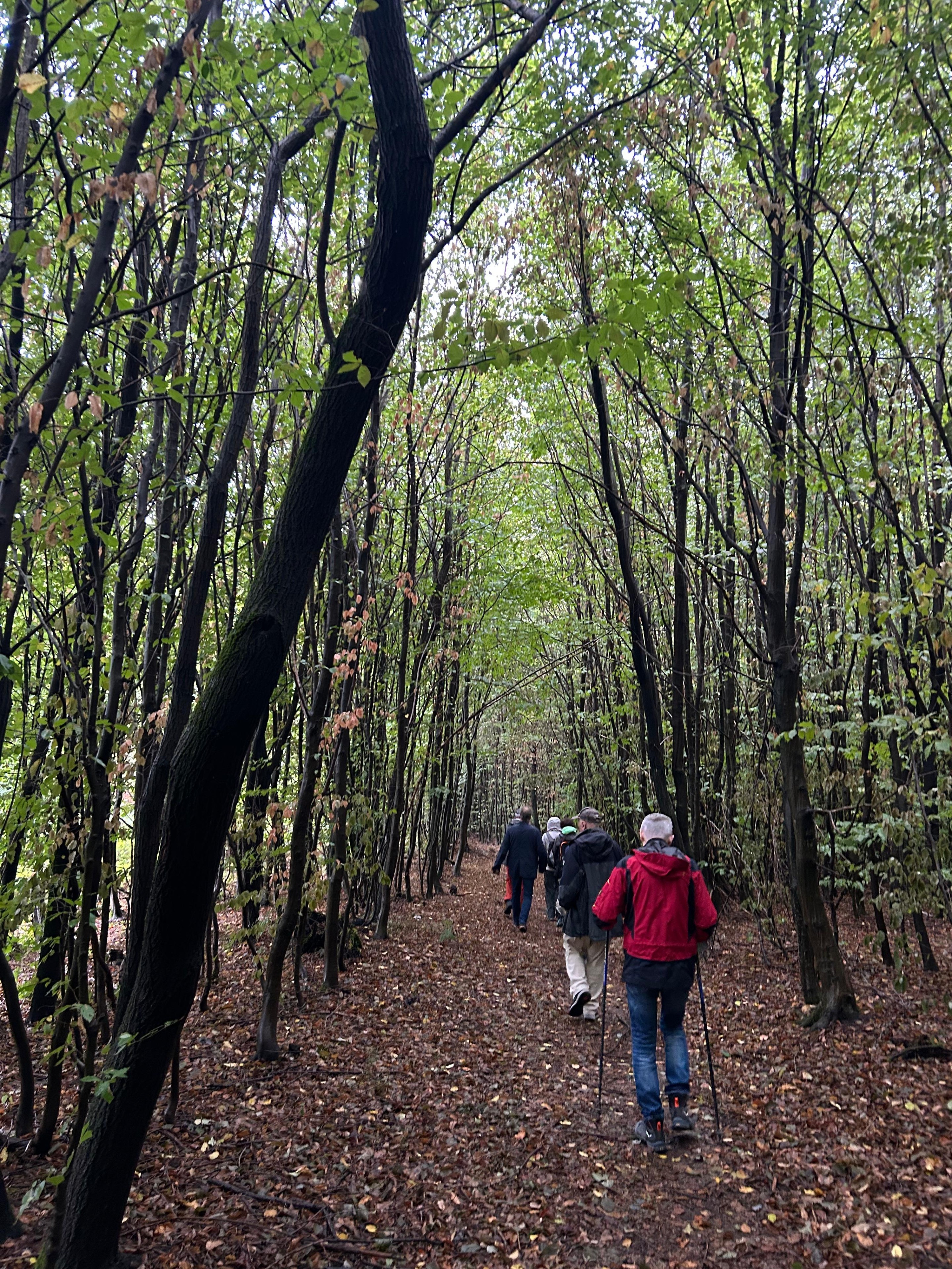 Wald der Zukunft Führung 2026