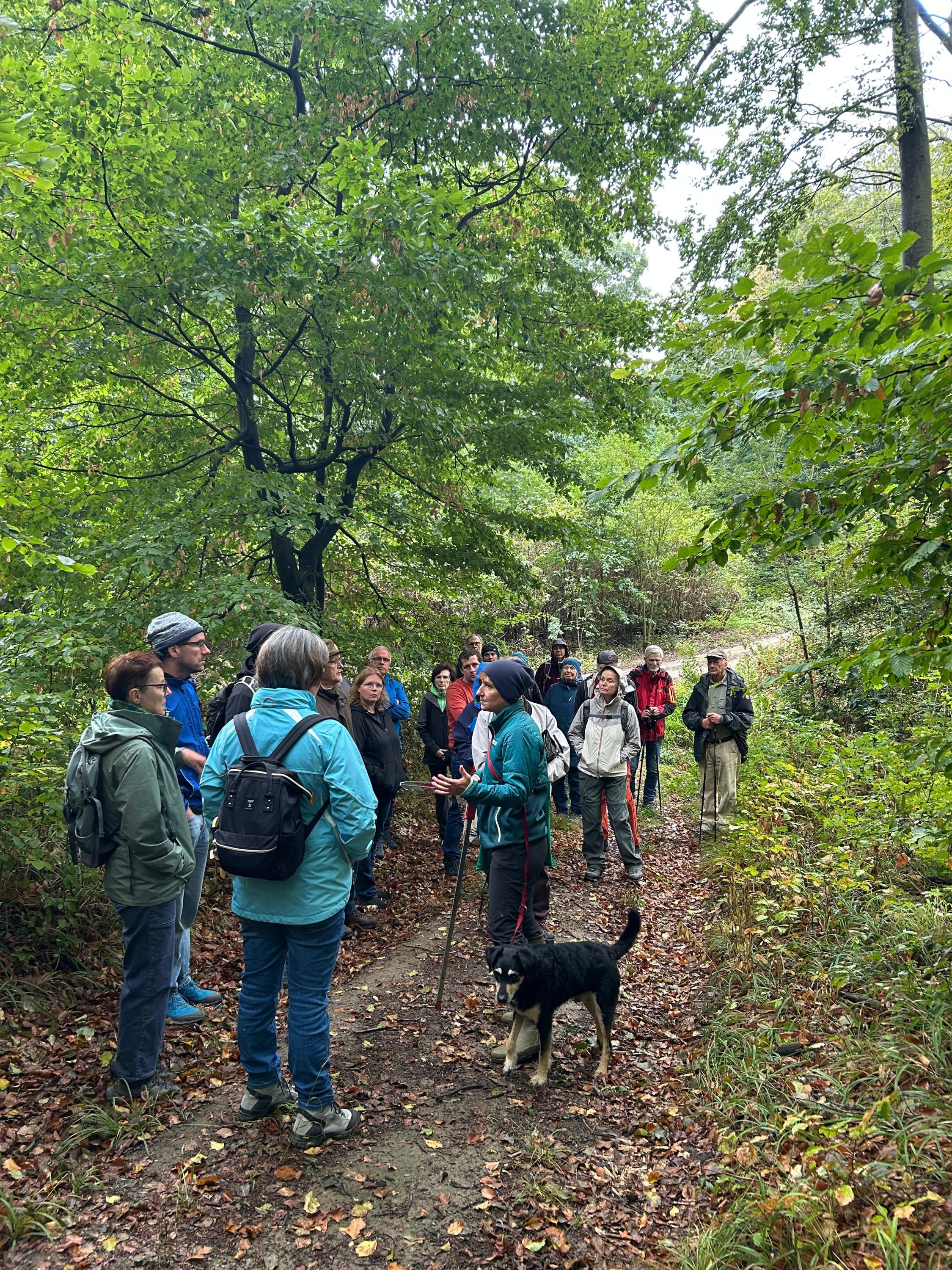Wald der Zukunft Führung 2026
