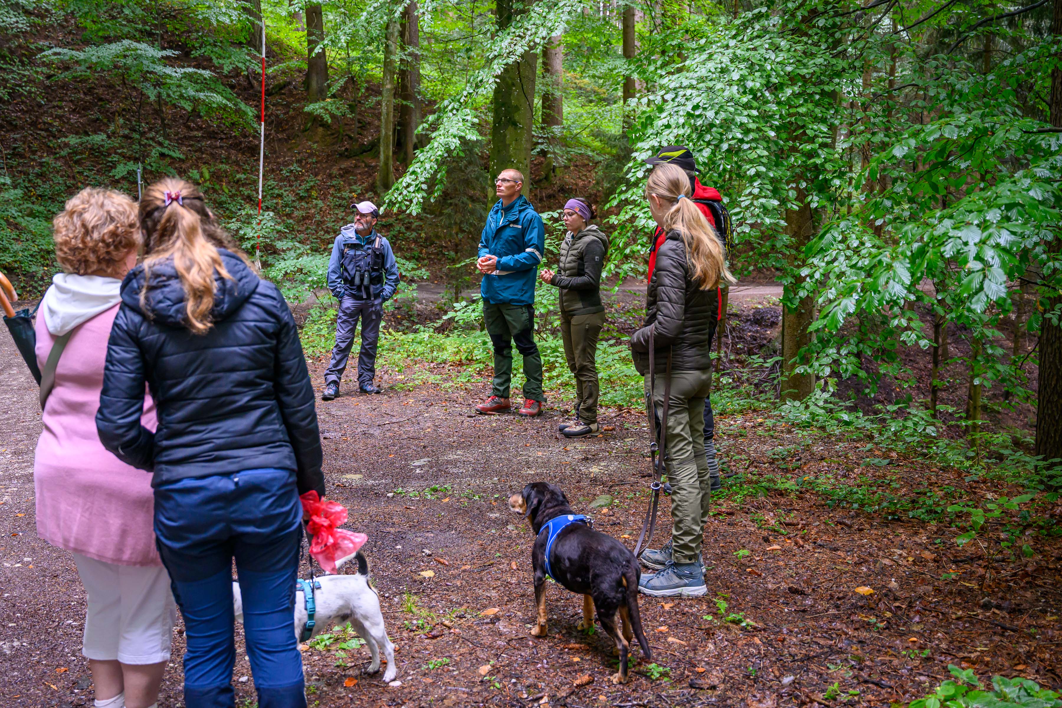 Wald der Zukunft Führung 2026