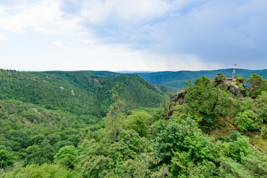 Mischwald (c) ÖBf-Archiv/W. Simlinger