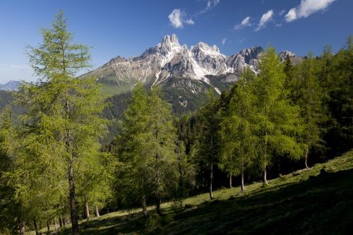 Der Wald der Zukunft, ein artenreicher Mischwald (c) ÖBf-Archiv/W. Simlinger Der Wald der Zukunft, ein artenreicher Mischwald (c) ÖBf-Archiv/W. Simlinger