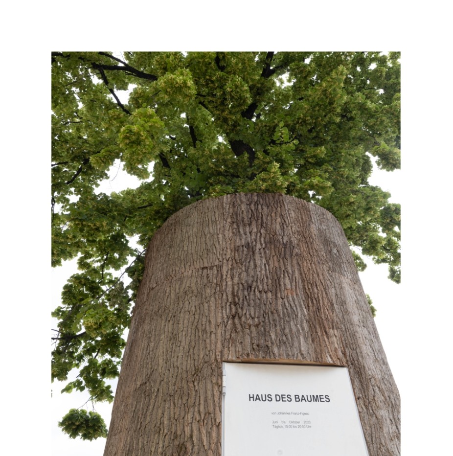 „Haus des Baumes“ vor dem MuseumsQuartier in Wien_c_eSeL.at – Lorenz Seidler