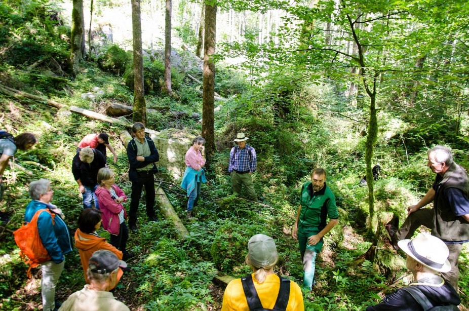 Führung im Inneren Salzkammergut (c) ÖBf-Archiv Führung im Inneren Salzkammergut (c) ÖBf-Archiv