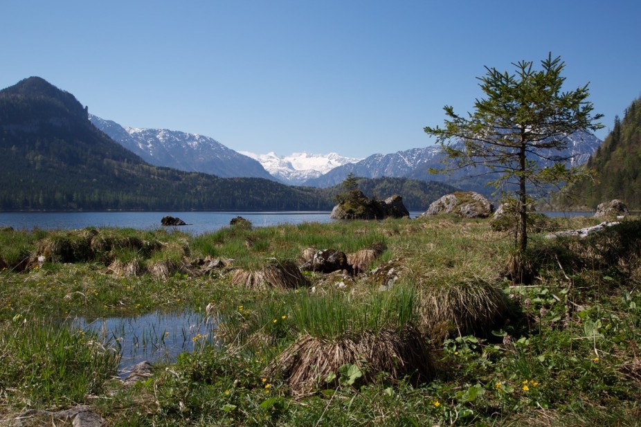 Altausseer See (c) oebf/Th. Kranabitl