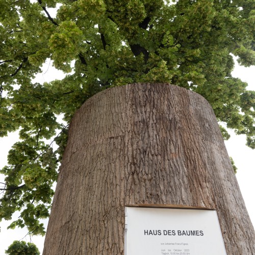 „Haus des Baumes“ vor dem MuseumsQuartier in Wien