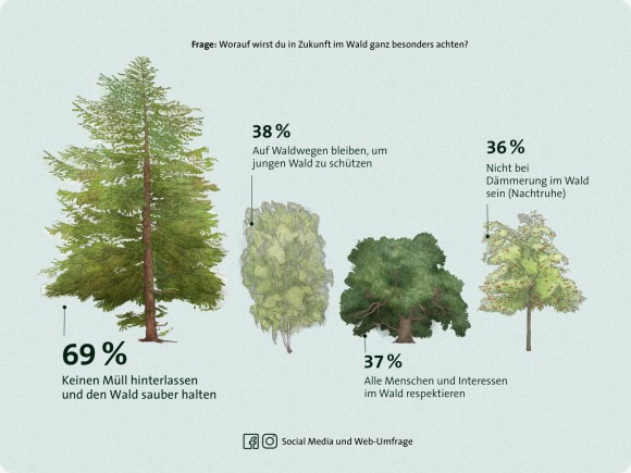 Wald Umfrage Achtsamkeit