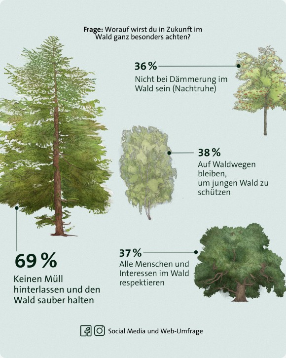 Wald Umfrage Achtsamkeit mobil