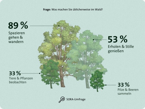 Wald Umfrage Aktivitäten