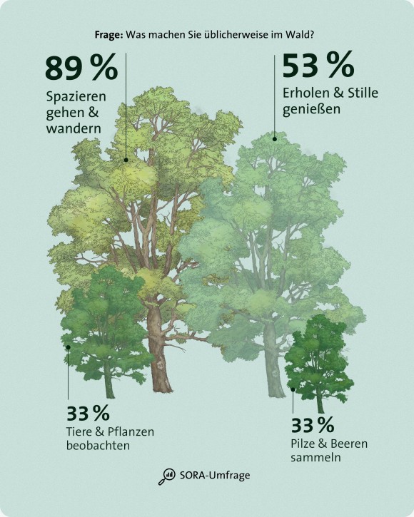 Wald Umfrage Aktivitäten mobil