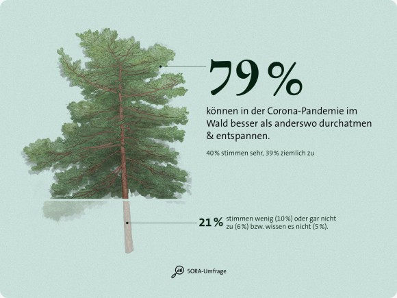 Wald Umfrage Pandemie