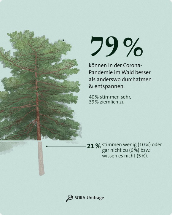 Wald Umfrage Pandemie mobil