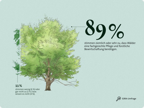Wald Umfrage Bewirtschaftung 2