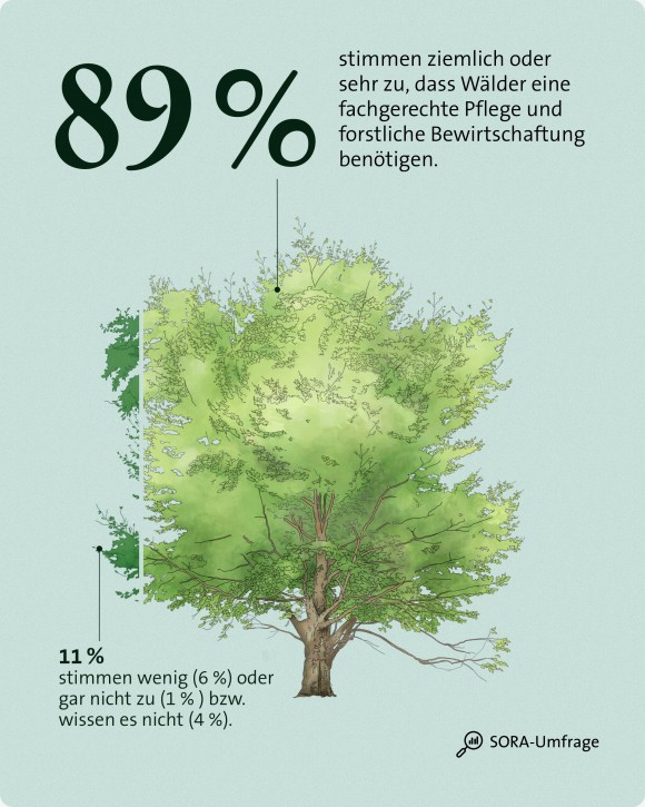 Wald Umfrage Bewirtschaftung 2 mobil