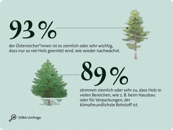 Wald Umfrage Rohstoff Holz