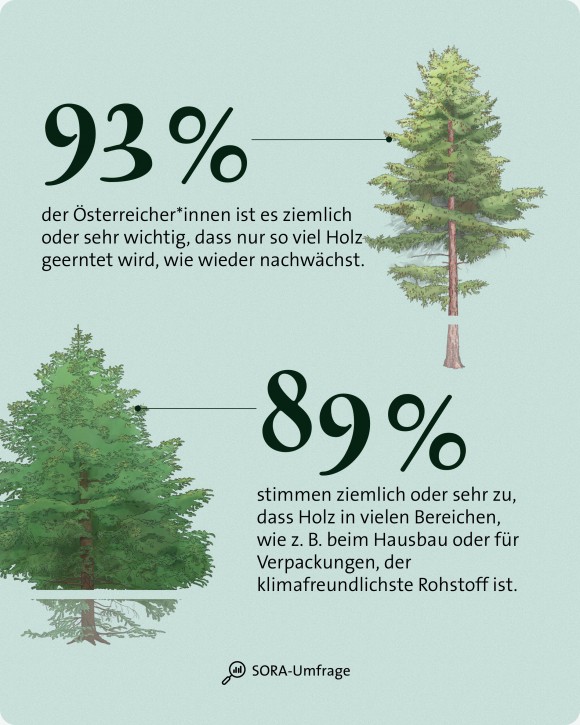 Wald Umfrage Rohstoff Holz mobil