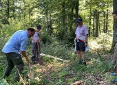 Wald der Zukunft Führung im Wienerwald (c) ÖBf-Archiv/Social Hearts